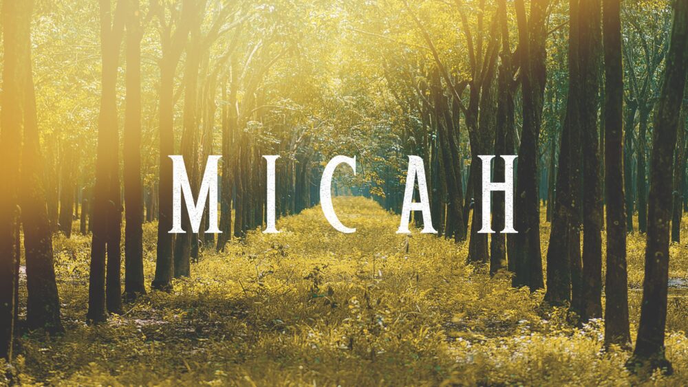 Walking with God [Micah 6:8] Morning Image
